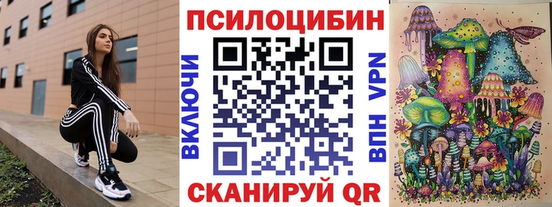 блэк спрут tor  Свободный  Псилоцибиновые грибы прущие грибы  что такое наркотик 