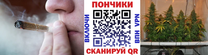 Канабис сатива  цена   Свободный 